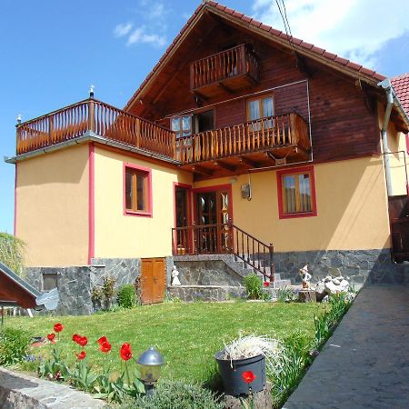 Pensiunea Neba Bran  Exterior photo